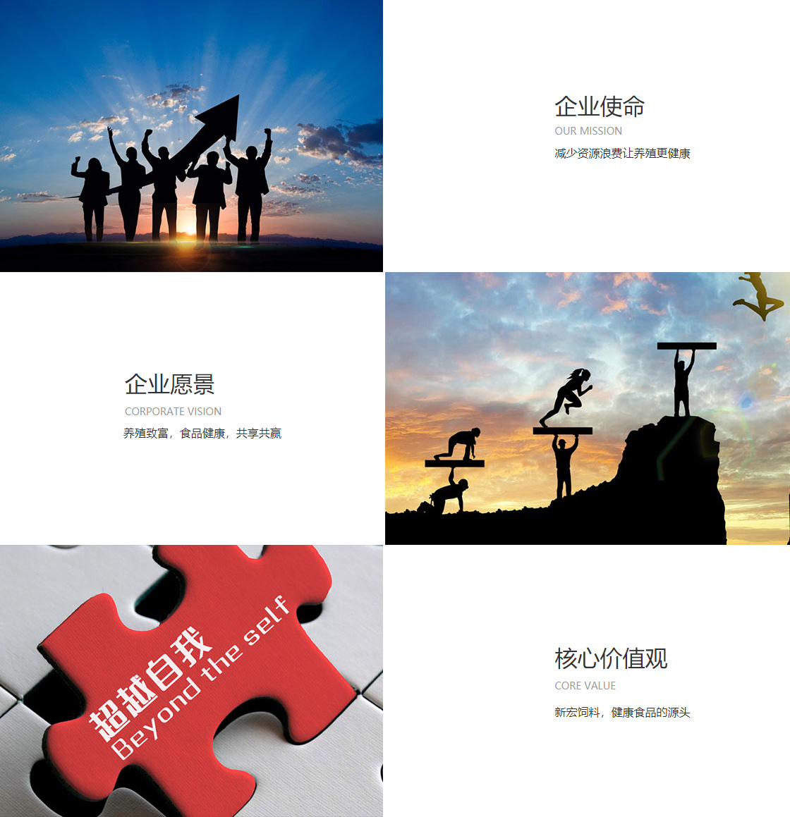 j九游真人(图1)